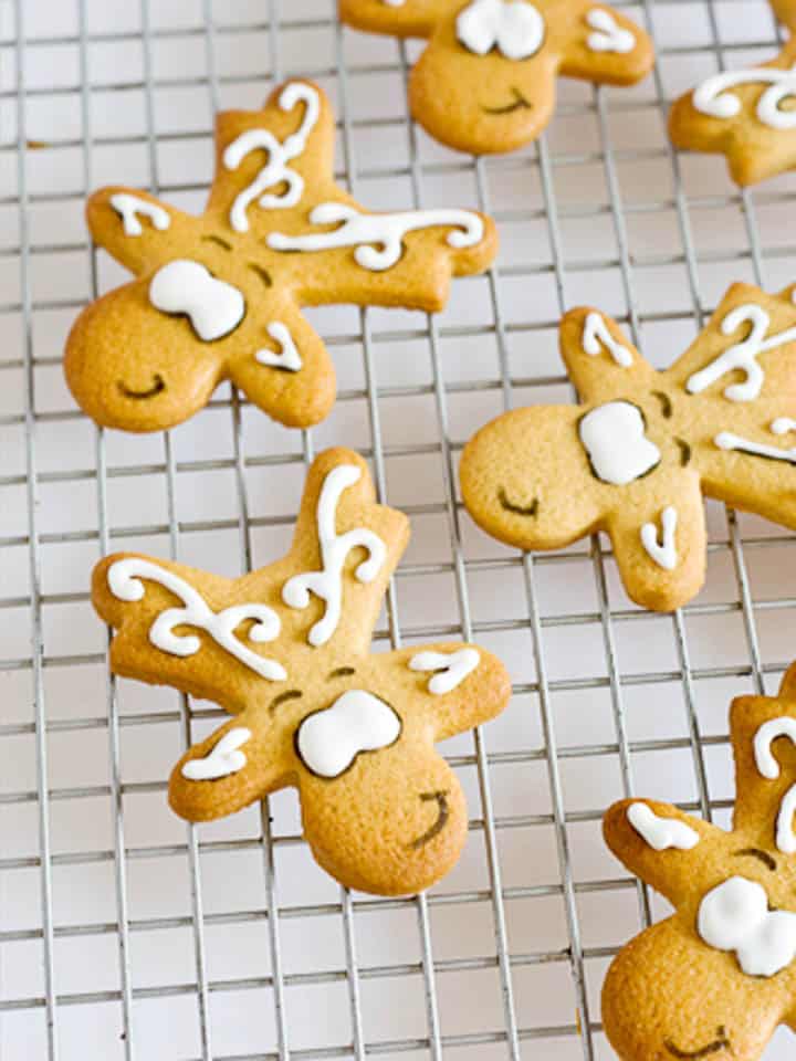 Gingerbread reindeer cookies with white icing ready to be finished