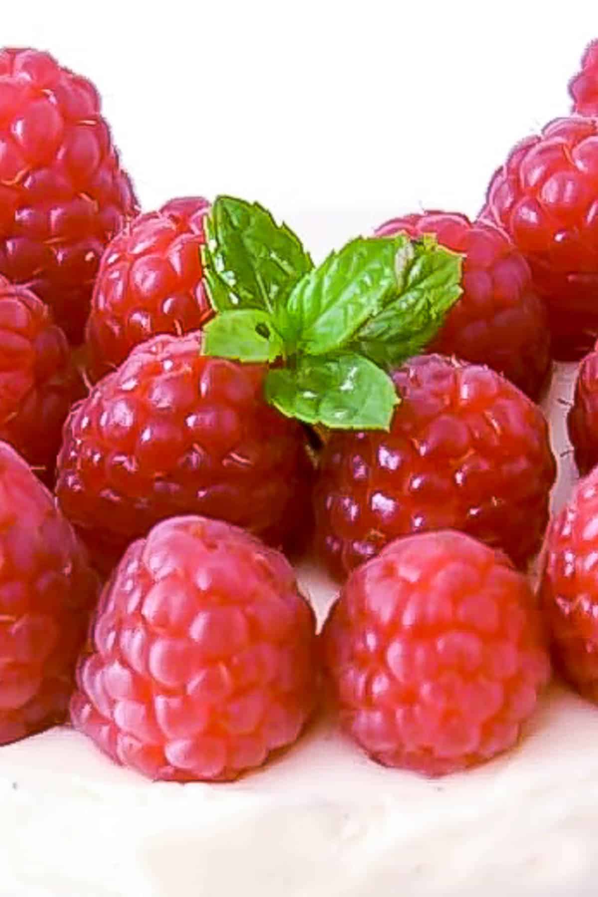 Close up of fresh raspberries with a sprig of fresh mint