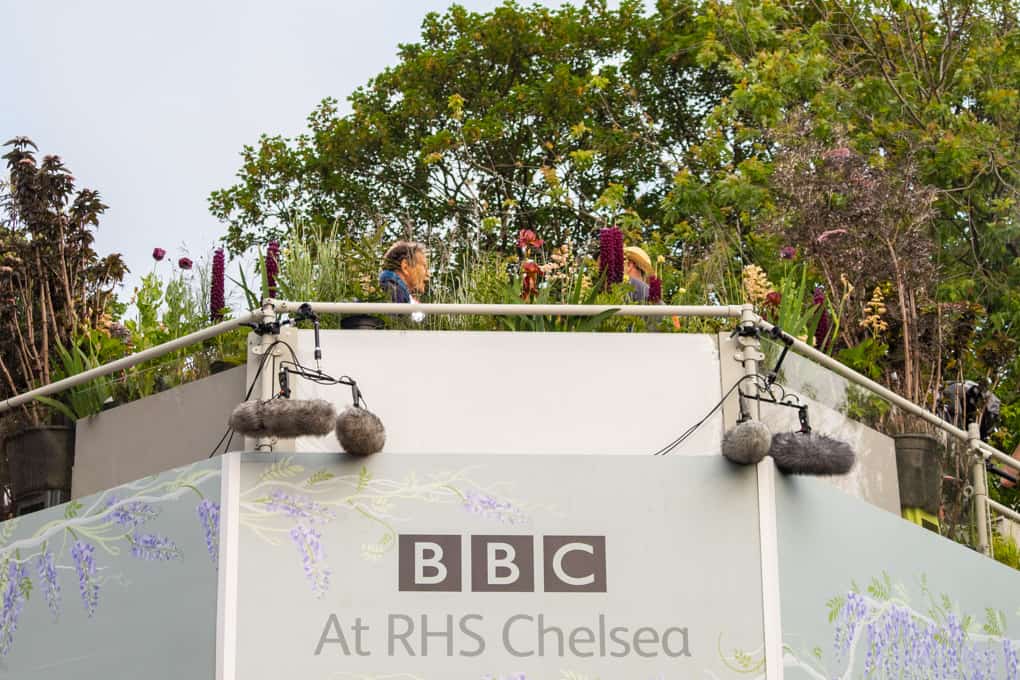RHS Chelsea Flower Show and Freddies Flowers Review