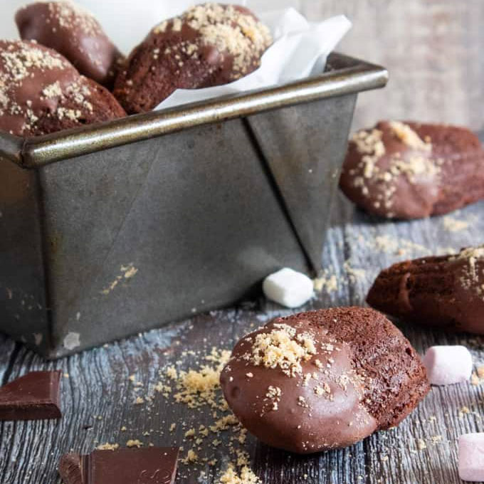 Smores Chocolate Madelines