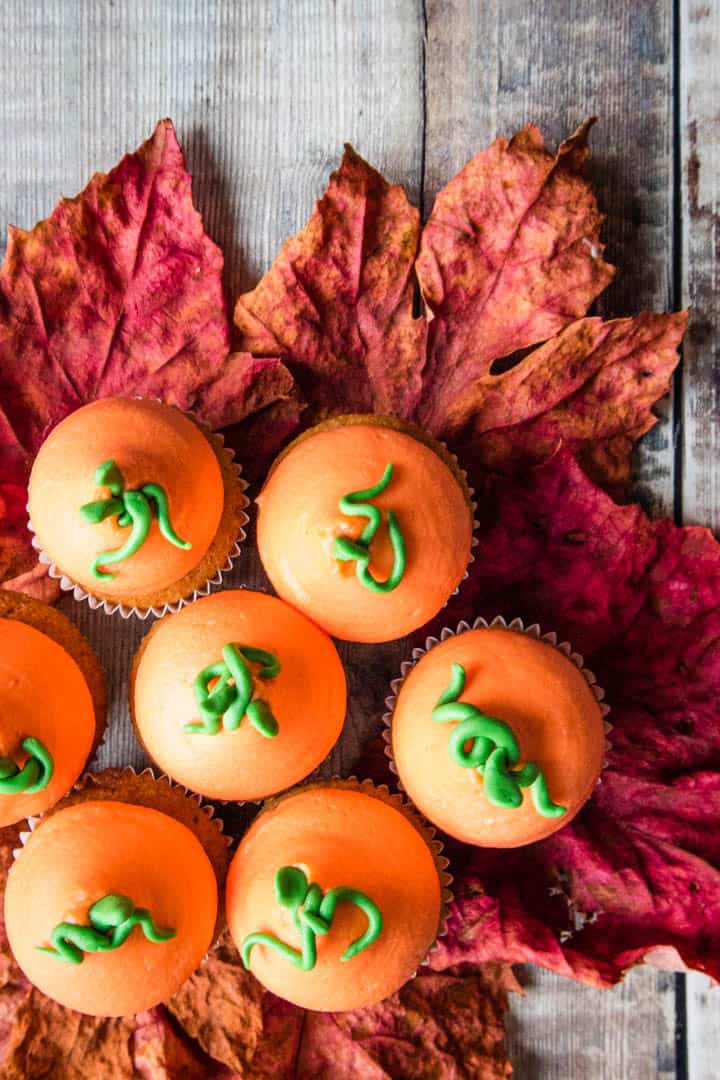 Mini orange colour cupcakes in a group on autumn leaves