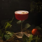 A rich red mocktail topped with delicate apple foam and garnish, photographed by Lou Carruthers. The image captures a cinematic woodland mood with soft shadows, green foliage, and a single apple hinting at temptation.